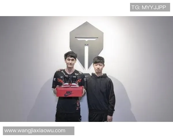 电竞实时数据见证RNG逆袭之旅的传奇时刻与荣耀回归